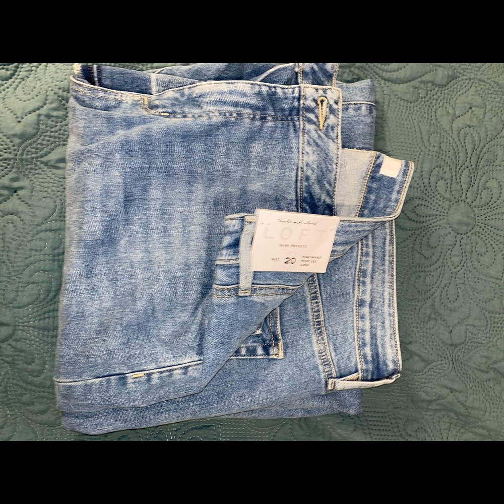 LOFT plus crop wide leg jeans